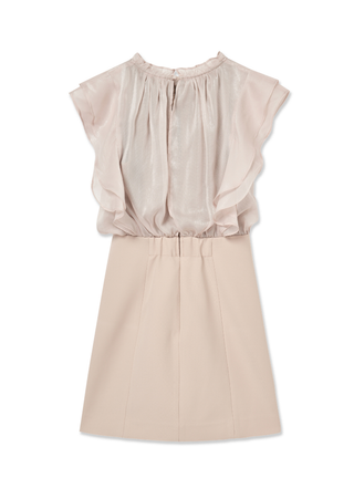 Sheer Layered Dress