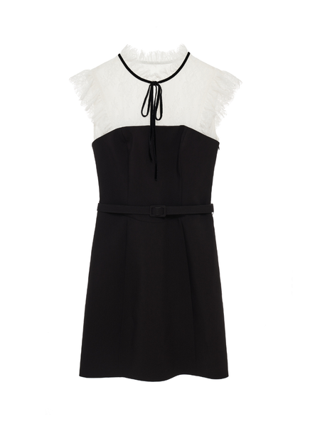Ribbon Neck Lace Docking Mini Dress – SNIDEL