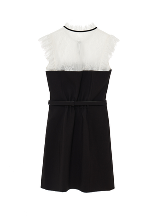 Ribbon Neck Lace Docking Mini Dress