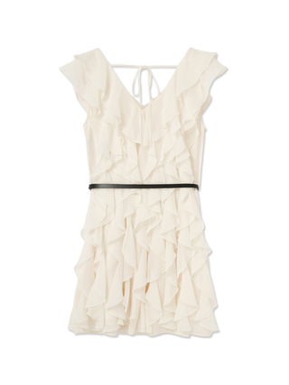 Daisy Flare Mini Dress