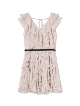 Daisy Flare Mini Dress