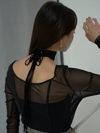 Sheer Long Sleeve Choker Corset Top