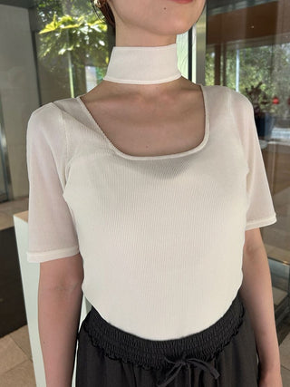 Flocky Tulle Cut Pullover