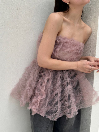 Embroidered Tulle Peplum Bustier Top