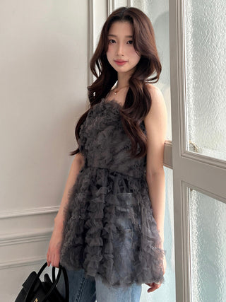 Embroidered Tulle Peplum Bustier Top