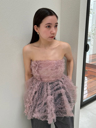 Embroidered Tulle Peplum Bustier Top