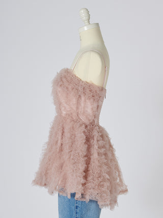 Embroidered Tulle Peplum Bustier Top