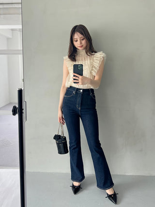 [Chacott] Tulle Blouse