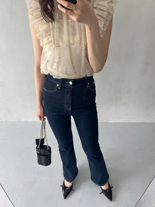 [Chacott] Tulle Blouse