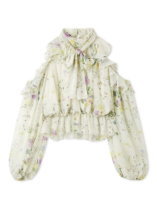 Chiffon Volume Blouse