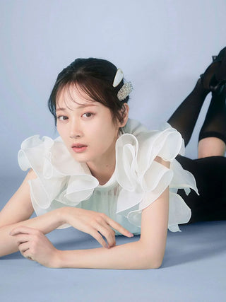 Organza Ruffle Blouse