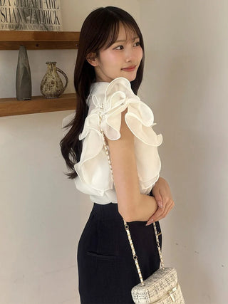 Organza Ruffle Blouse