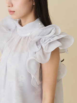 Organza Ruffle Blouse