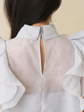 Organza Ruffle Blouse