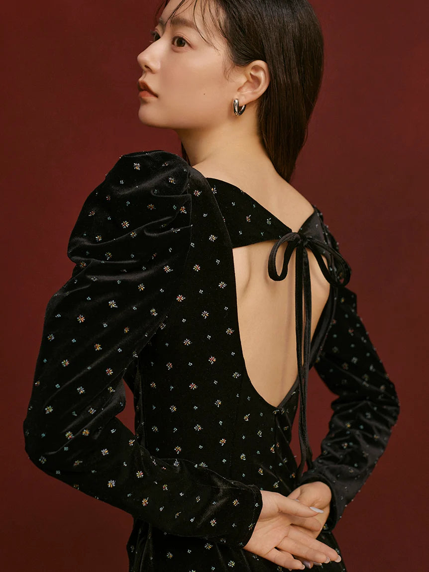 Velvet Embroidered Dress 0(SMALL) / Black Velvet Embroidered Dress 0(SMALL) / Black