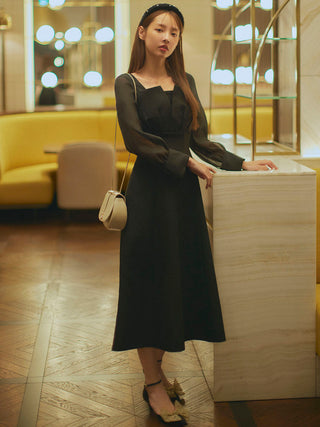 Sheer Sleeve Dress