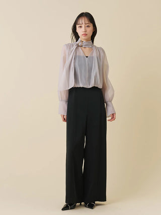 Sheer Bolero All-in-One Dress