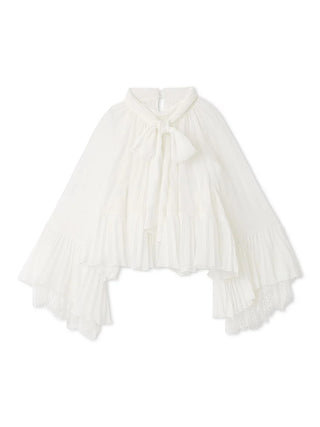 Lace Trim Chiffon Set-Up