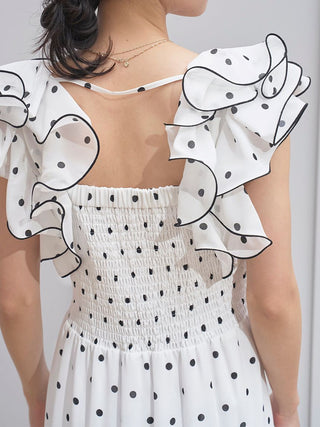 Ruffle Sleeve Print Dress