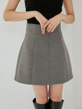 Variety Structure Mini Skirt