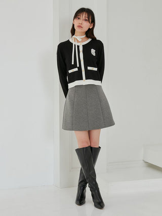 Variety Structure Mini Skirt in Gray, Premium Fashionable Women's Skirts & Skorts at SNIDEL USA