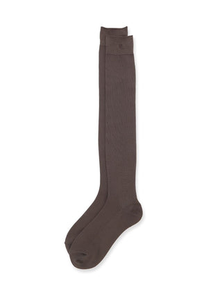 Delicate Sheer Socks