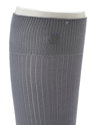 Delicate Sheer Socks