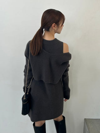 Raccoon Ribbed Sleeveless Mini Dress