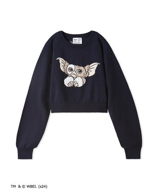 GREMLINS Special Order Jacquard Knit Cropped Sweater in Navy, Premium Women's Fashionable Sweater, Pullover at SNIDEL USA