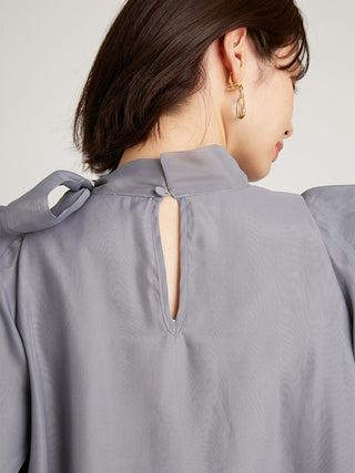 Sustainable Organza Ruffle See-Through Blouse in light blue, Premium Fashionable Women's Tops Collection at SNIDEL USA