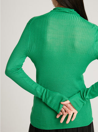  Simple Sheer Long Sleeve Turtle Neck Knit Top in green, A premium Fashionable & Trendy Collection of Women's Knitwear at SNIDEL USA