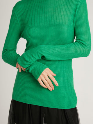  Simple Sheer Long Sleeve Turtle Neck Knit Top in green, A premium Fashionable & Trendy Collection of Women's Knitwear at SNIDEL USA